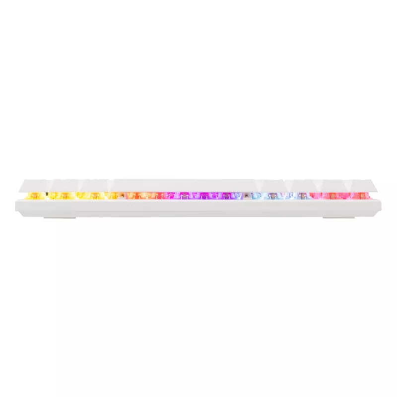 Baracuda DOLPHIN-W-Raudona tinklo įrenginys, baltas