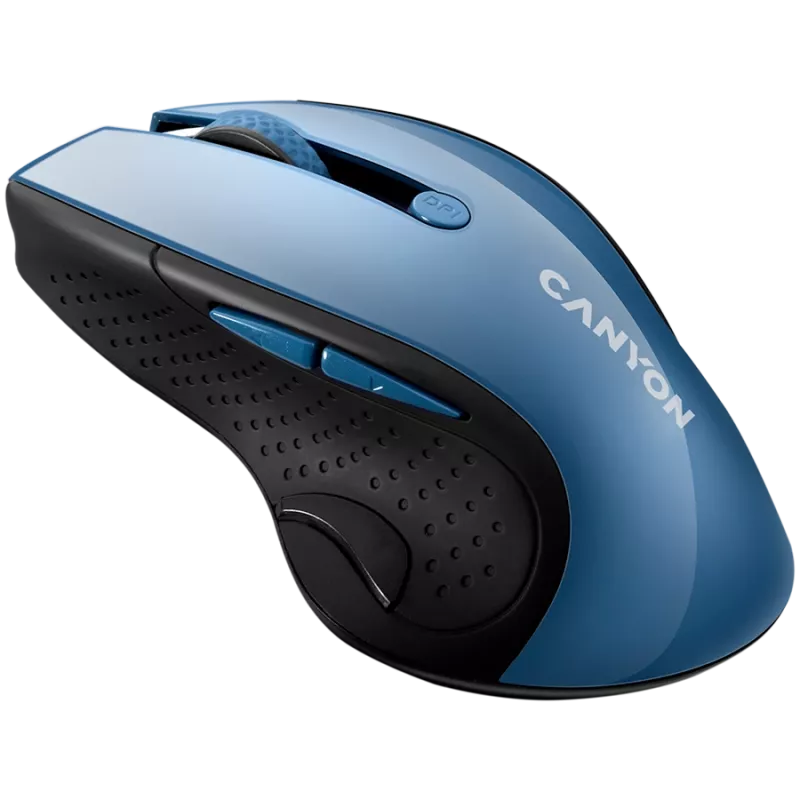 CANYON pelė MW-01 BlueLED belaidė mėlyna pilka