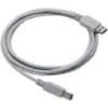 USB laidas Type A Datalogic CAB-438 2 m
