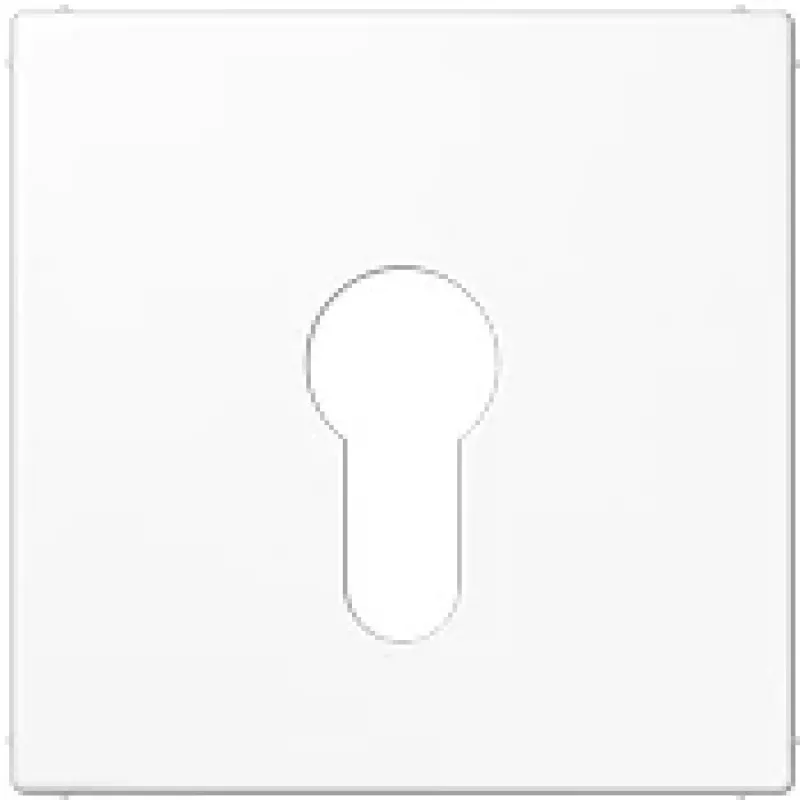Jung LS 925 WW White (LS925WW)