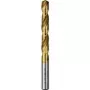 Grąžtas HSS Bosch 4,2 mm x 75 mm (modelis 2609255096)