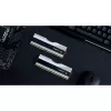 DIMM 32 GB DDR5-8000 (2x 16 GB) Dual-Kit, Arbeitsspeicher silber/schwarz, F5-8000J3848H16GX2-TZ5RS, Trident Z5 RGB, INTEL XMP