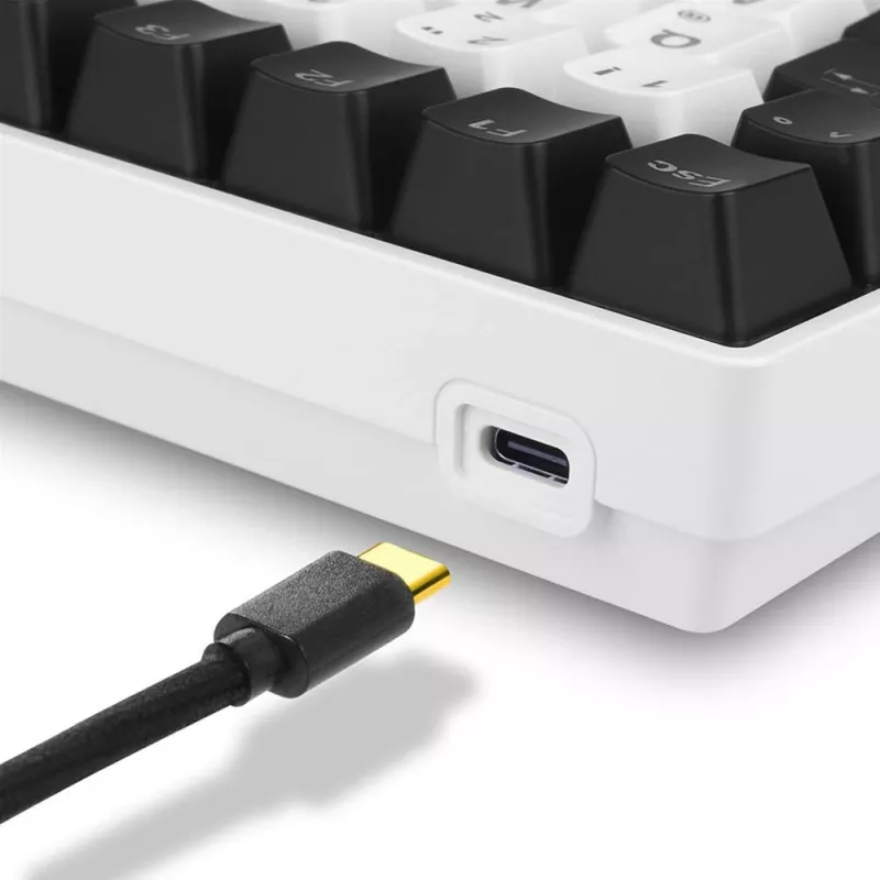 Sharkoon SKILLER SGK50 S3 klaviatūra žaidimams USB QWERTY rusiška balta