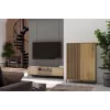 RTV KAMARO 160 plonas/GŁ ARTISAN OAK