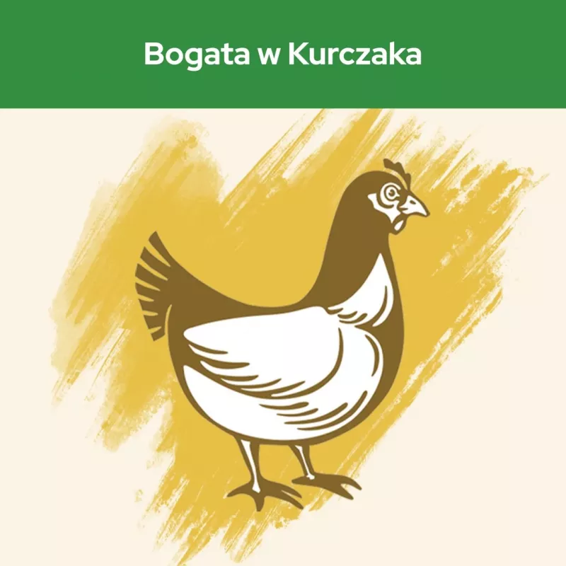 Purina CAT CHOW STERILISED sausas kačių maistas 1,5 kg Suaugusi Vištiena