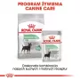 Sausas šunų maistas Royal Canin Mini Digestive Care 3 kg — mažos veislės, paukštiena, suaugę šunys, virškinimo palaikymas