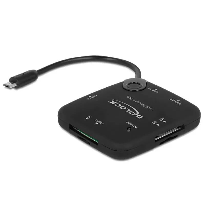 Delock 65529 kortelių skaitytuvas USB 2.0 Juoda