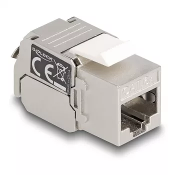 DeLOCK Keystone modulis RJ45 lizdas į LSA Cat.6A su LED sidabrinė balta