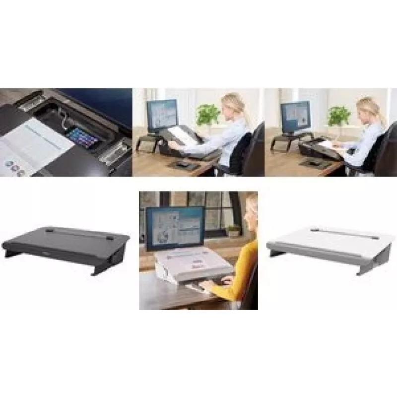 Fellowes Hana Dokumentenhalter Steel Pilka (8065801)