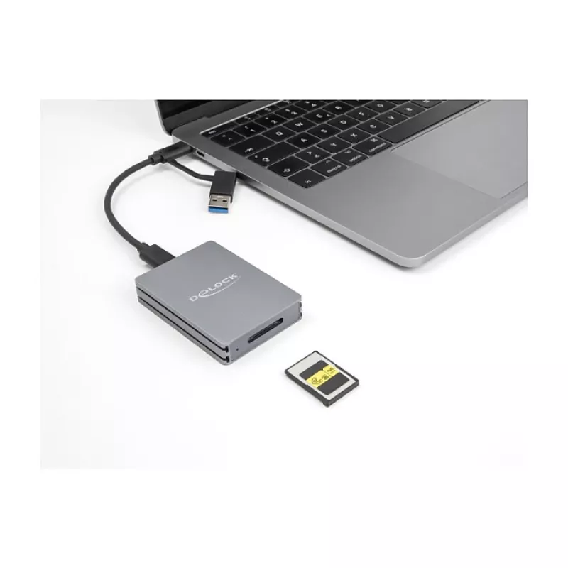 Delock 91012 USB Type-C atminties kortelių skaitytuvas CFexpress Type A