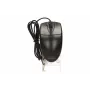 A4Tech OP-620D pelė USB Type-A optinė 1200 DPI abiem rankoms tinkama