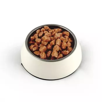 TEO, daug paukštienos – šlapias kačių maistas – 850g