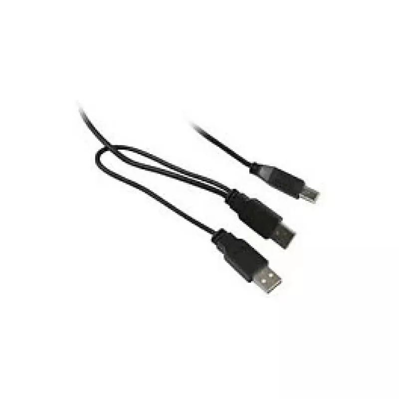 Synergy 21 S215325 - 1 m - USB B - 2 x USB A - USB 2.0 - vyriška/vyr. - juoda