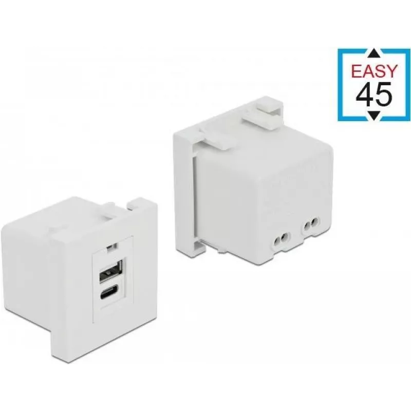 Kištukinis lizdas USB A + USB C DeLOCK 81313