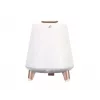Nešiojamas garsiakalbis Blaupunkt BT25LAMP baltas