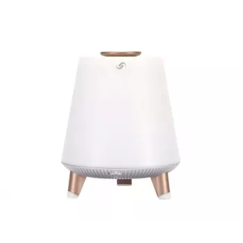 Nešiojamas garsiakalbis Blaupunkt BT25LAMP baltas