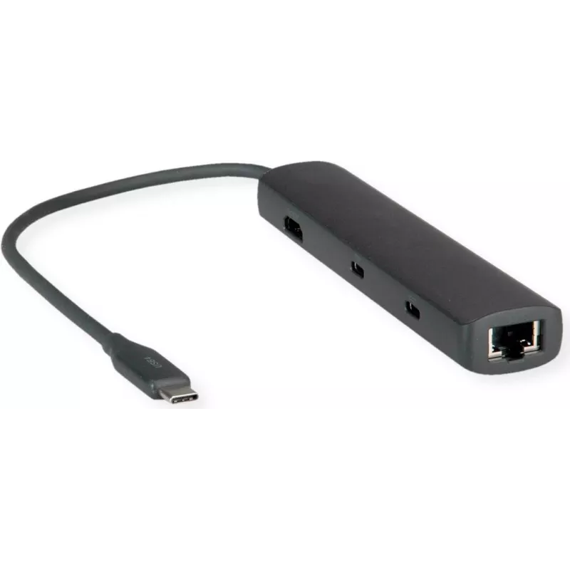 Dokingo stotis ROLINE 12021124 USB 3.2 Gen 1 Type-C pilka laidinė