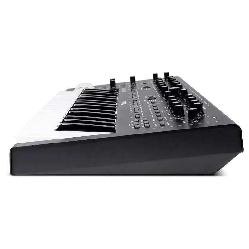 Analoginis sintezatorius Moog MOOG MESSENGER — monofoninis stalinis instrumentas