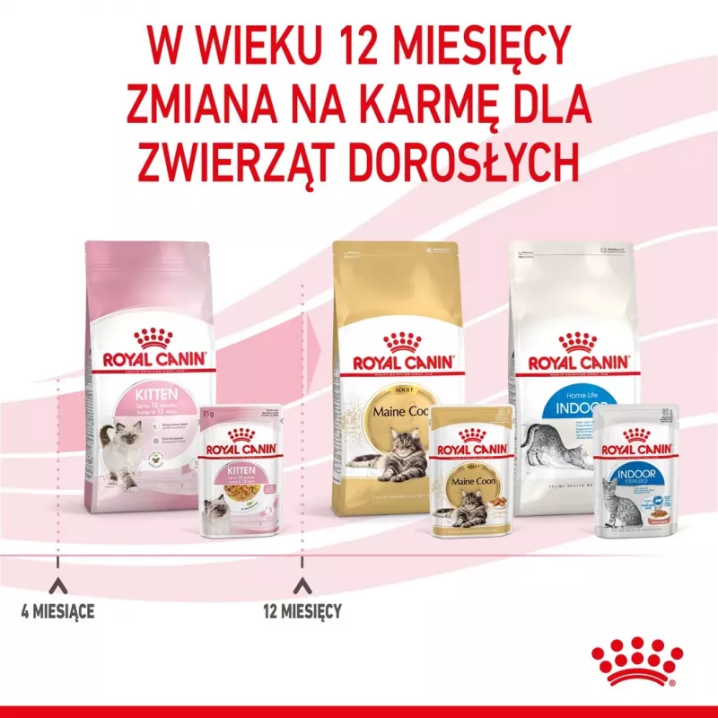 Šlapias kačių maistas Royal Canin Kitten Gravy 85 g — paukštiena, 78 % drėgmės, 12 % baltymų