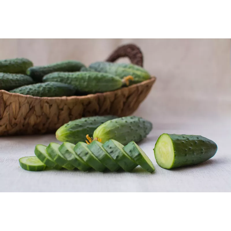 Srem Cucumber F1 Toraf daržovių sėklos, 5g pakuotė