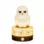 BlueSkyStudios Harry Potter -mini lempa USB-C (pritemdoma)