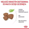 Sausas šunų maistas Royal Canin Mini Puppy 2 kg – mažos veislės, vištiena, 31 % baltymų