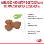Sausas šunų maistas Royal Canin Mini Puppy 2 kg – mažos veislės, vištiena, 31 % baltymų