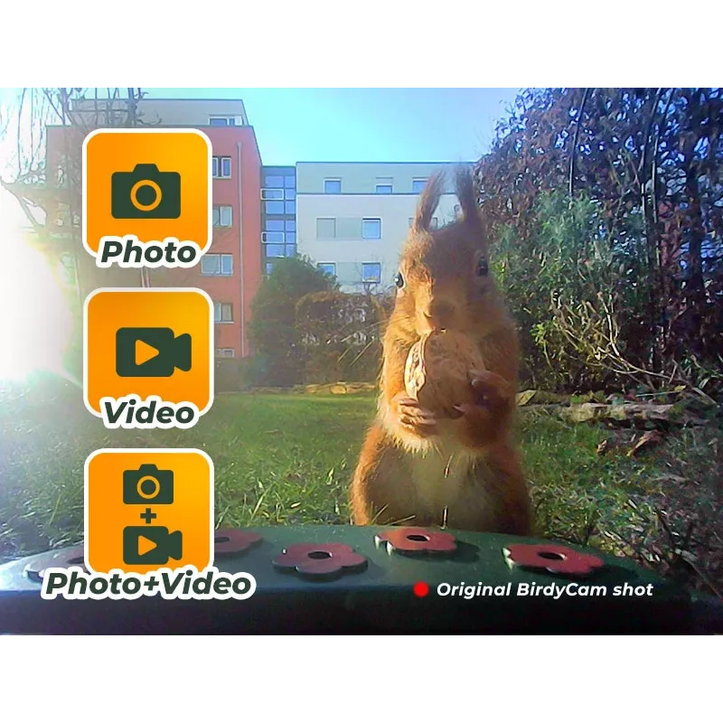 EASYPIX paukščių kamera Easypix Bird Cam 10123 1080p HD naktinis matymas