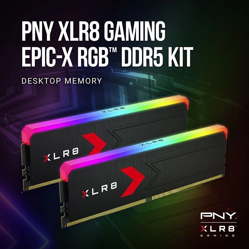 Atmintis PNY DDR5 32GB 5600 BULK