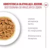 Šlapias kačių ėdalas Royal Canin FHN Ageing 11+ Gravy 12×85 g – pilnavertis drėgnas maistas vyresnio amžiaus katėms padėklėliuose