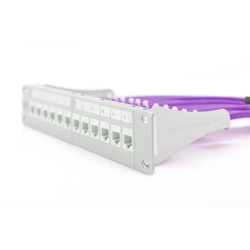 Tinklo kabelis DIGITUS DK-1624-VH-5 F/UTP Cat.6 500 m violetinis