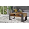 Topeshop MODERN 2P ART CZ kavos / šoninis / kampinis staliukas Kavos staliukas stačiakampė forma 2 koja (-os)