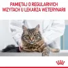 Šlapias kačių maistas Royal Canin Urinary Care suaugusiems paukštiena 85 g maišelis (12 pakuotė)