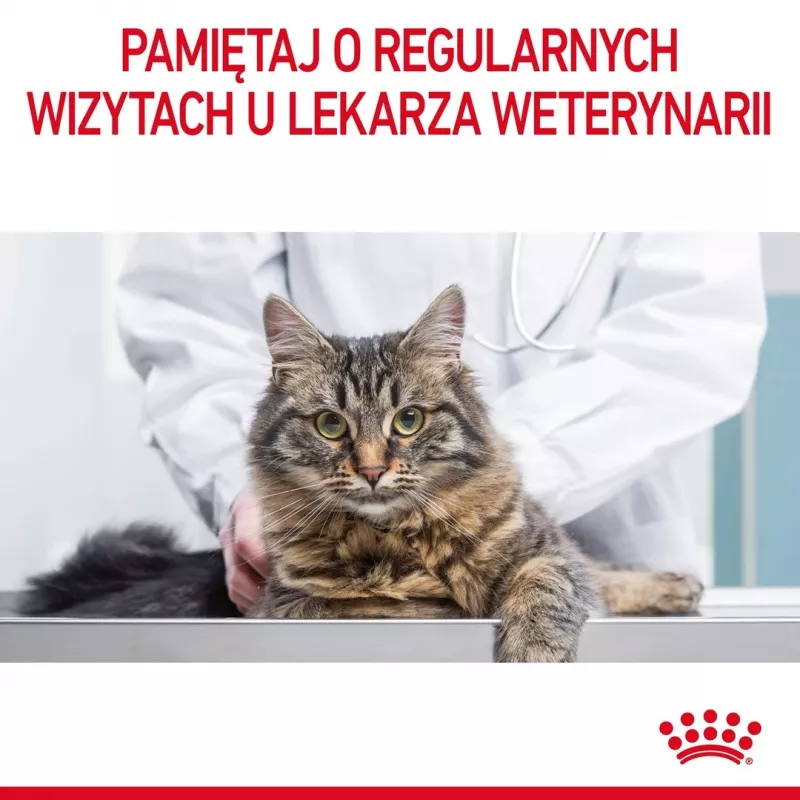 Šlapias kačių maistas Royal Canin Urinary Care suaugusiems paukštiena 85 g maišelis (12 pakuotė)