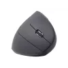 Gembird MUSW-ERGO-01 pelė Dešiniarankiams RF belaidė optinė 1600 DPI