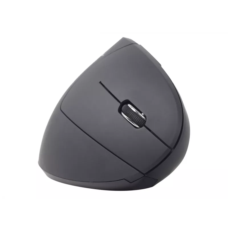Gembird MUSW-ERGO-01 pelė Dešiniarankiams RF belaidė optinė 1600 DPI