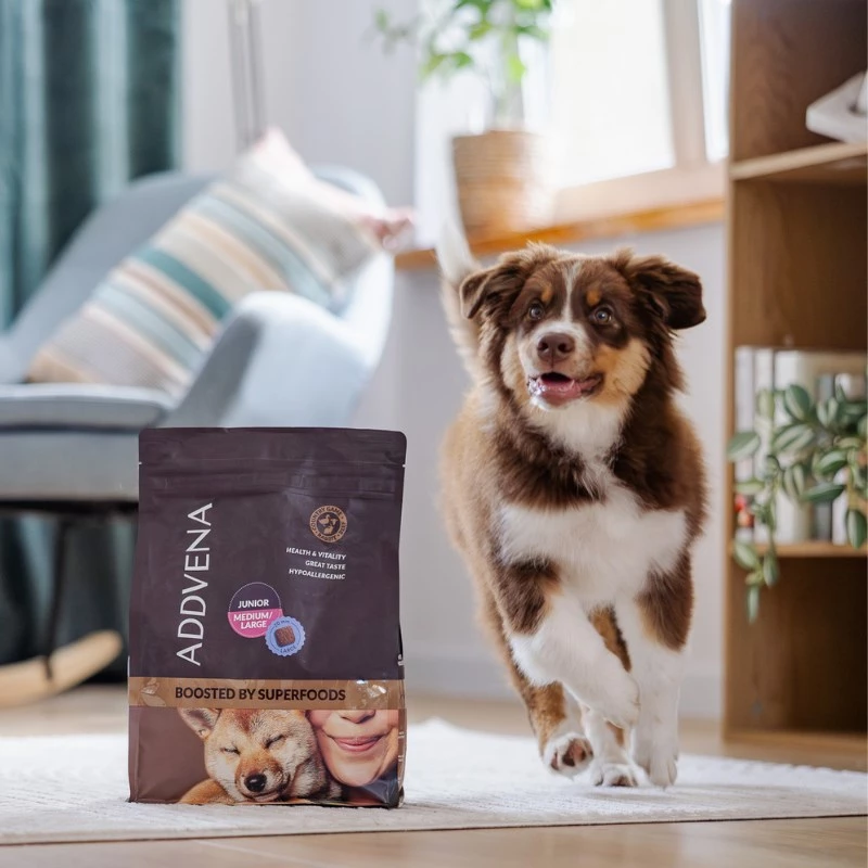 ADDVENA Boosted by superfoods Junior Medium/Large Beef - sausas šunų ėdalas - 2,5kg