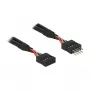 DeLOCK laidas 0,1m 2xUSB2.0 10-vnt.