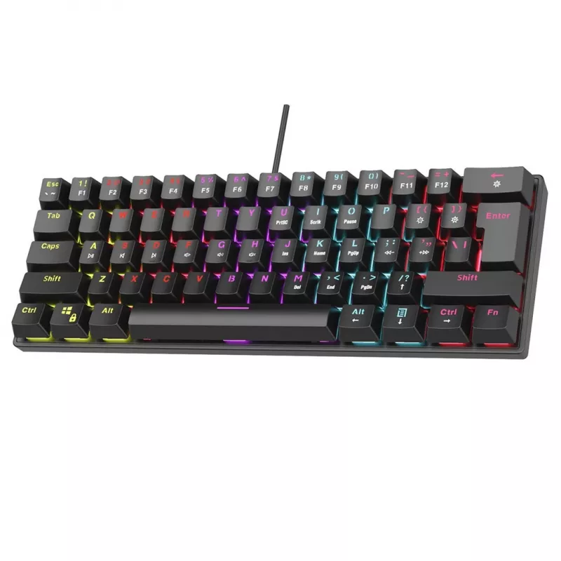 Mechaninė klaviatūra RAMPAGE PLOWER K60 su mėlynais jungikliais ir RGB apšvietimu