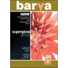 Fotopopierius Barva Profi Super Glossy 255 g/m² A3 20 lakštų
