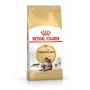 Sausas kačių maistas Royal Canin Maine Coon Adult 10 kg — paukštiena (vištiena), 31% baltymų, 20% riebalų
