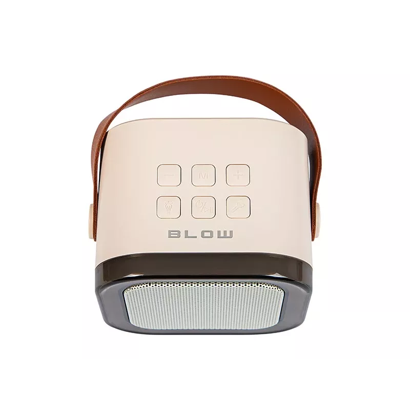 Karaoke garsiakalbis, KARAOKE RGB Bluetooth garsiakalbis, 30W