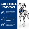 HILL'S Prescription Diet Urinary Care Originali - šlapias šunų maistas - 370g