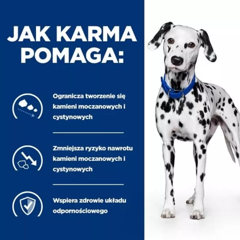 HILL'S Prescription Diet Urinary Care Originali - šlapias šunų maistas - 370g
