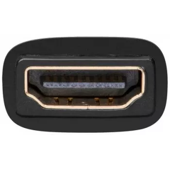Goobay HDMI/DVI-D adapteris, HDMI standartinė jungtis (A tipas) -> DVI-D (24+1) kištukas (68931)