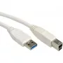 VALUE USB laidas - USB Type A (V) į USB Type B (V)