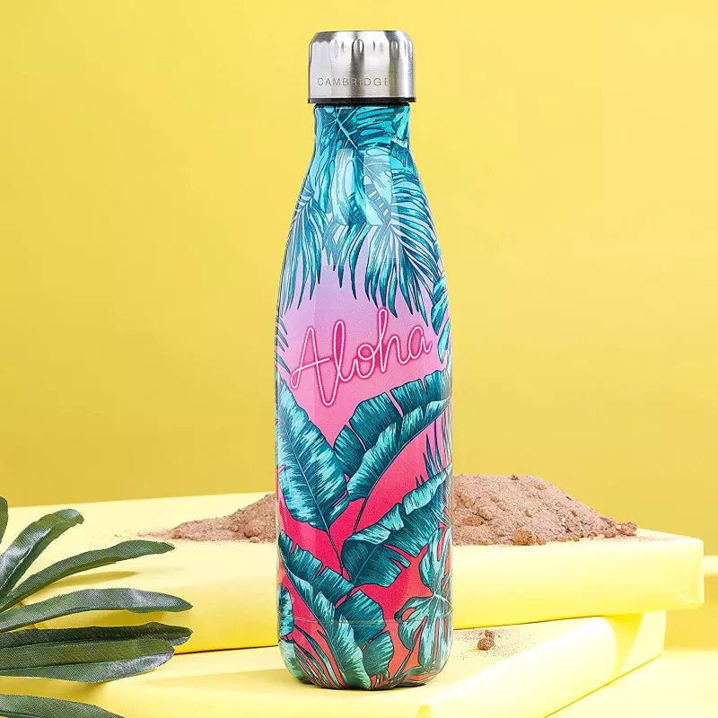 Termo kolba Cambridge CM06510 500 ml — Aloha Palm Beach dizainas