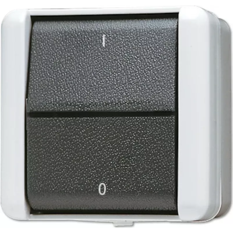 JUNG 802 W - svirties jungiklis - 2P - laidinis - juoda - balta - termoplastikas - IP44