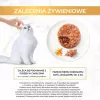GOURMET GOLD - Sotusis pyragėlis su vištiena ir morka 85g
