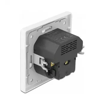 DeLOCK 11489 Kištukinis lizdas CEE 7/3 + USB Baltas 250V 16A